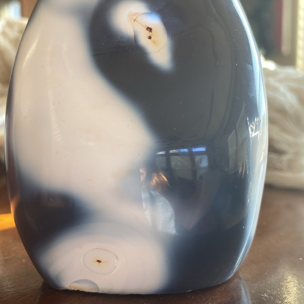 Orca Agate Crystal Freeform (Large) - Picture 8 of 8